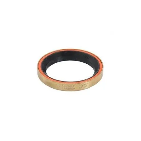 Ritchey BALHOOFD LAGER WCS 46/34.1/7MM 45/45