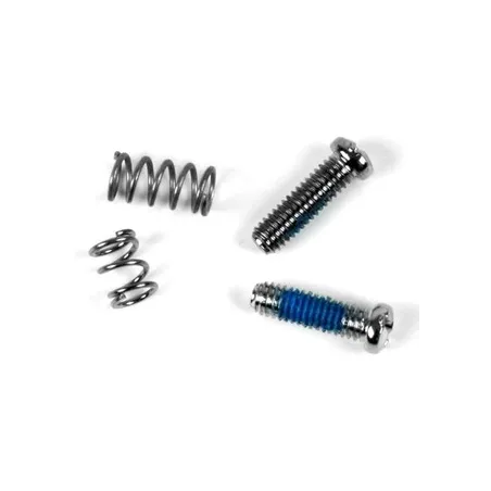 Campagnolo Derailleurstelbout Set RD-RE110