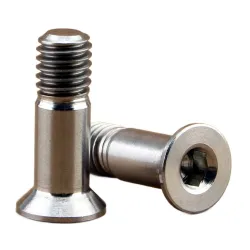 asje / boutje titanium 14mmxM5 voor derailleurwieltje (2 stuks)