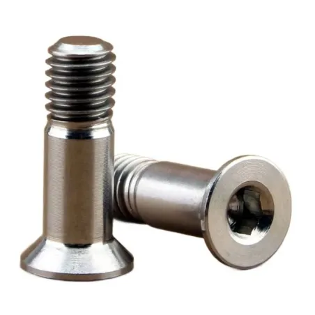 Boutje / asje voor derailleurwieltjes M5x16 Shimano / SRAM / Campagnolo (prijs /stuk)
